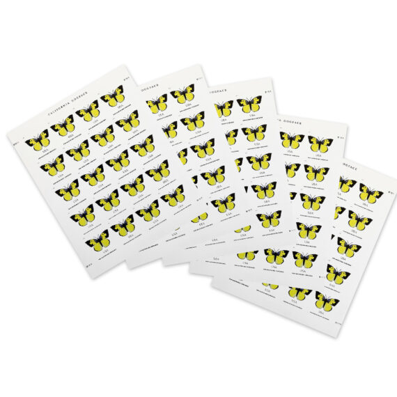 California Dogface Butterfly Stamp (Non-Machineable for Square Envelopes)