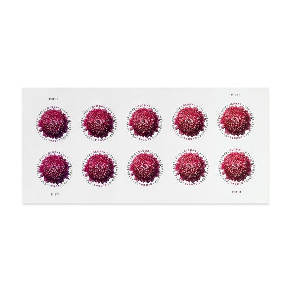 Global Chrysanthemum Stamps