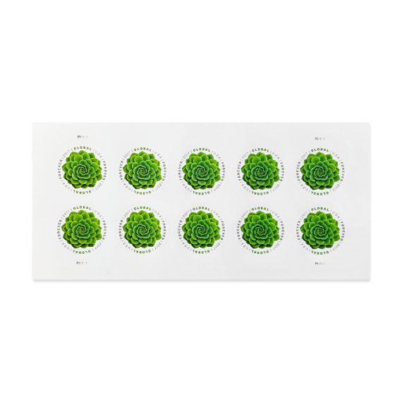 Global Green Succulent Stamps