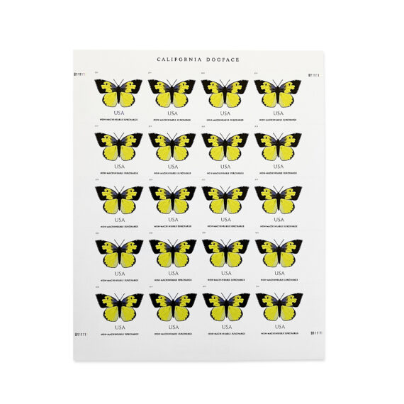 California Dogface Butterfly Stamp (Non-Machineable for Square Envelopes)
