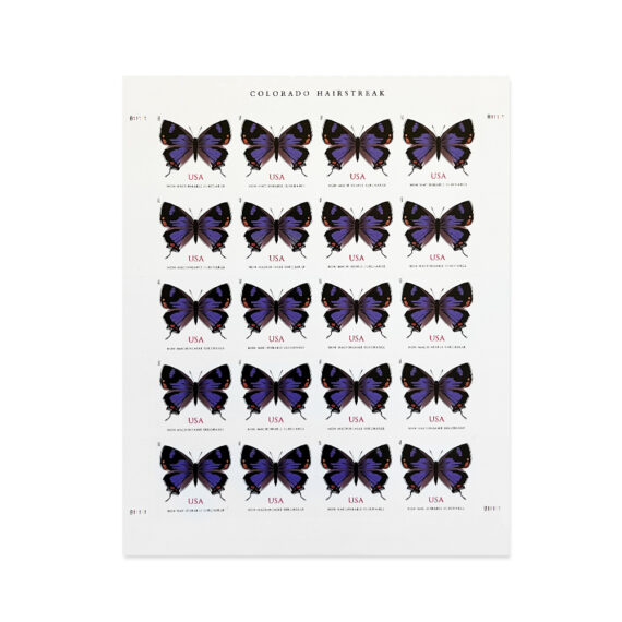 Colorado Hairstreak Stamps(NonMachineable for Square Envelopes
