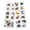 Pets Stamps