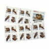 Otters in Snow Stamps