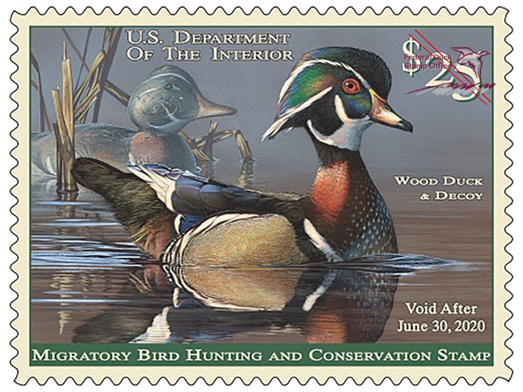 2019 -2020 Wood Duck & Decoy Stamp