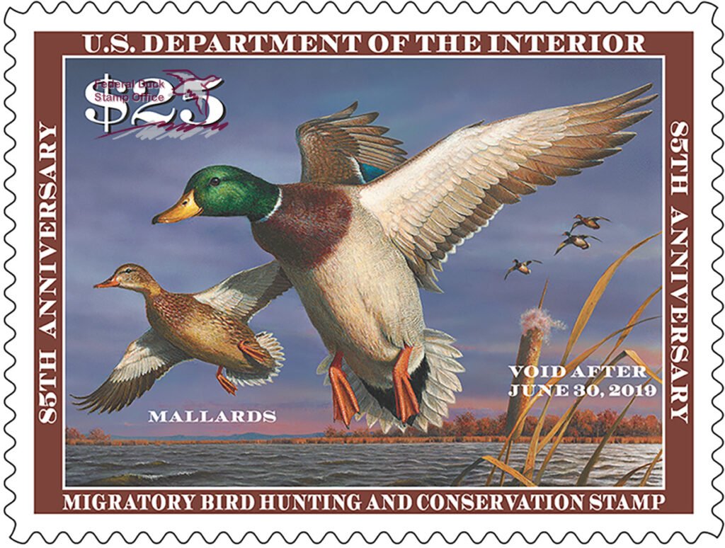 $25 Mallards Federal Duck Stamp 2018-2019
