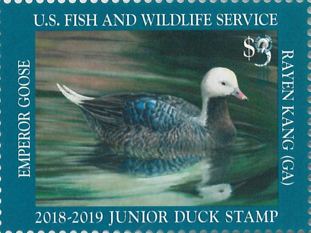 $5 Jr Duck Emperor goose Stamp 2018-2019