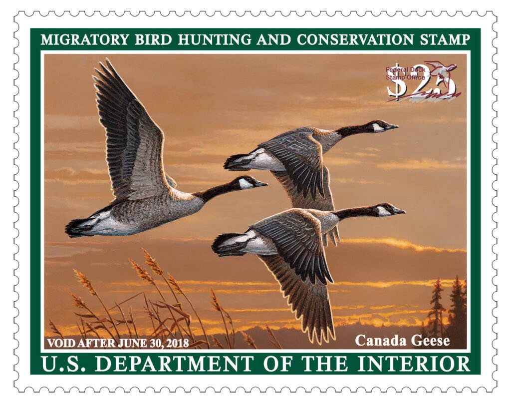 $25 Canada Geese Federal Duck Stamp 2017-2018