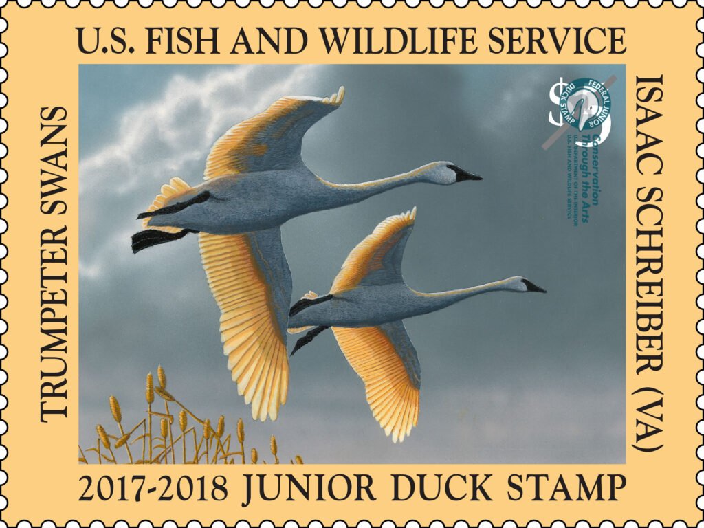 $5 Jr Duck Trumpeter Swans Stamp 2017-2018