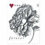 Engraved Vintage Rose Forever Stamp