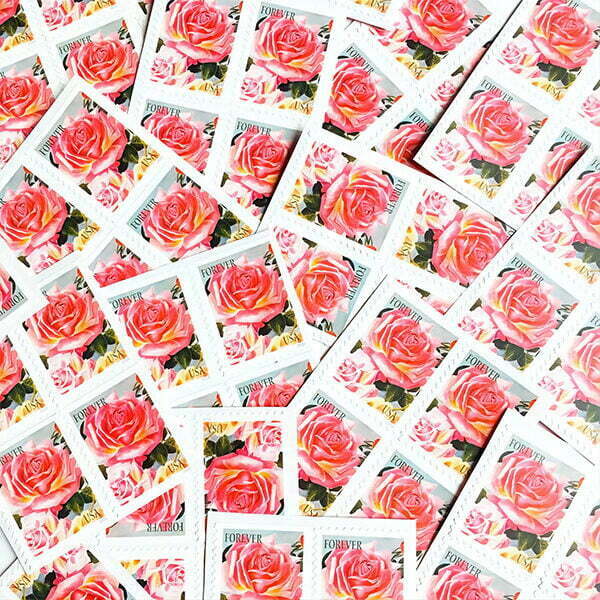 USPS Wedding Stamps Pink Rose Forever Postage Stamps