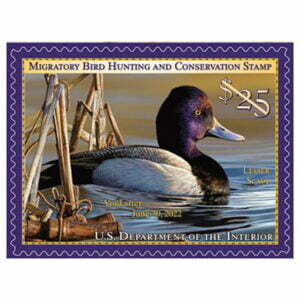 hawaii postage stamps