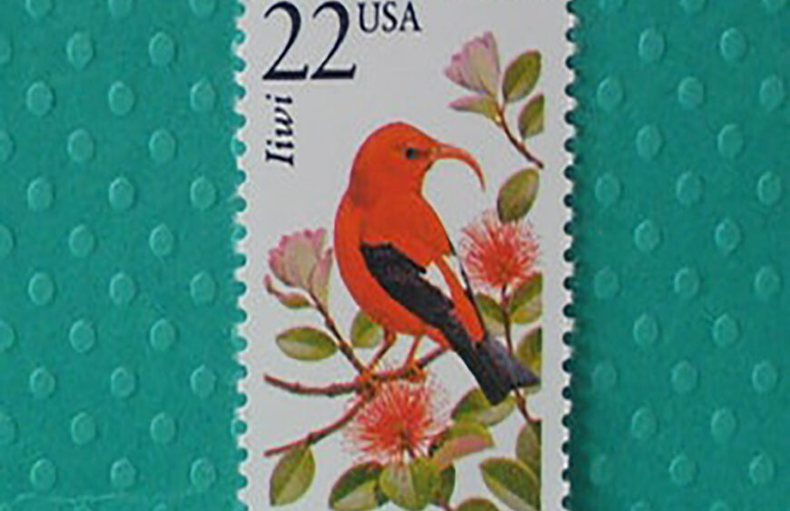 forever stamps cheap