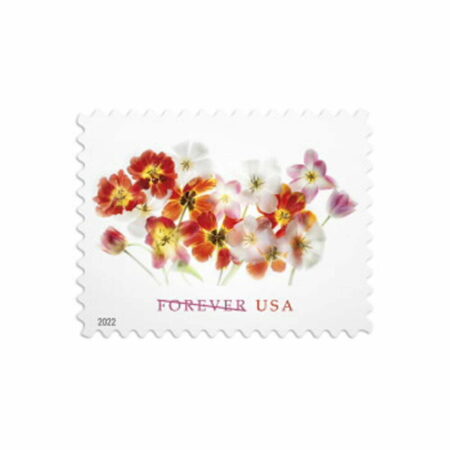 Tulip Stamp