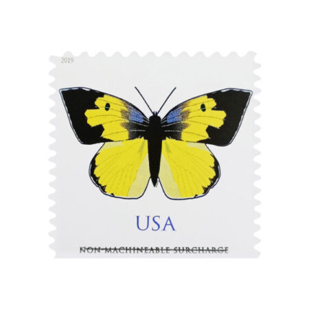 California Dogface Butterfly Stamp (Non-Machineable for Square Envelopes)