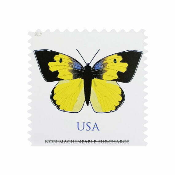 California Dogface Butterfly Stamp (Non-Machineable for Square Envelopes)