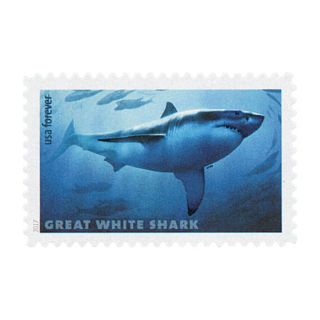 Sharks Stamps