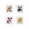 Winter Berries Stamps