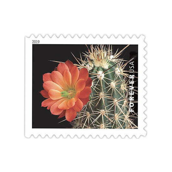 Cactus Flowers Stamps Forever Stamp Store