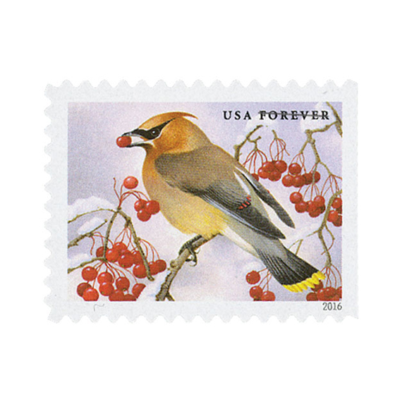 2016 Songbirds in Snow Forever Stamps Forever Stamp Store