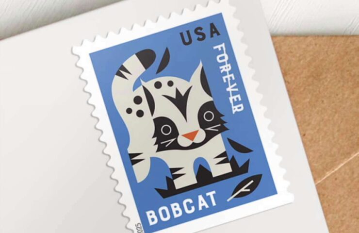 discount baby wild animals stamps