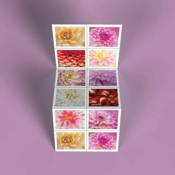 Dahlias Stamps