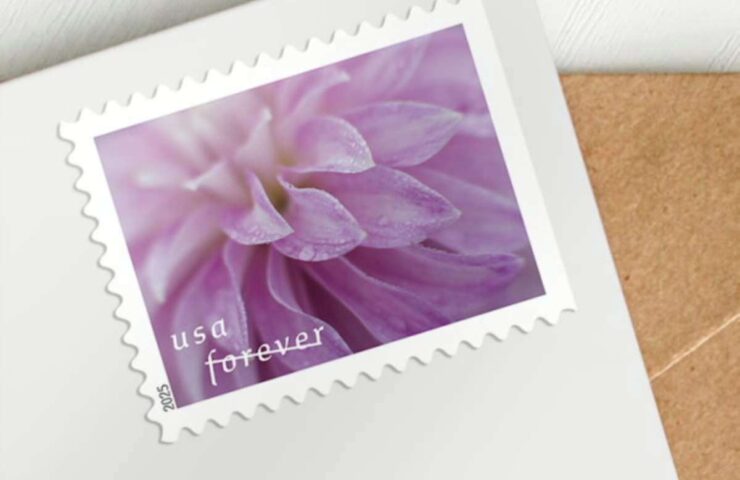 flower dahlias stamps discount