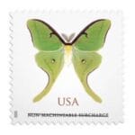 Non-machinable: Luna Moth Stamps - Forever Stamp Store