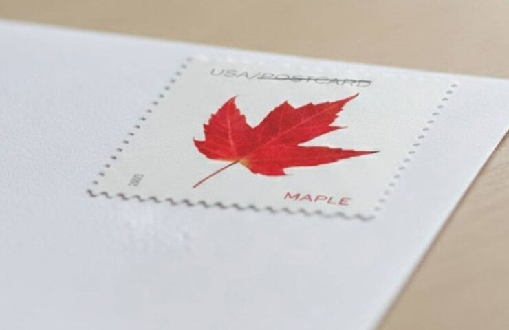 discount vibrant leaves postcard stamps
