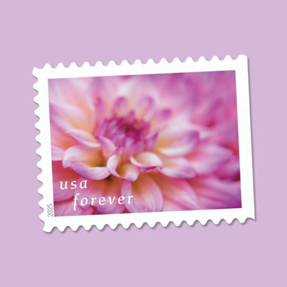 Dahlias Stamps