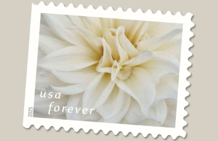 flower dahlias stamps discount