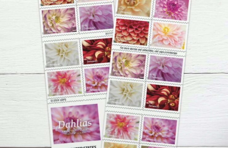 flower dahlias stamps discount