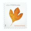 Vibrant Leaves Postcard Stamps