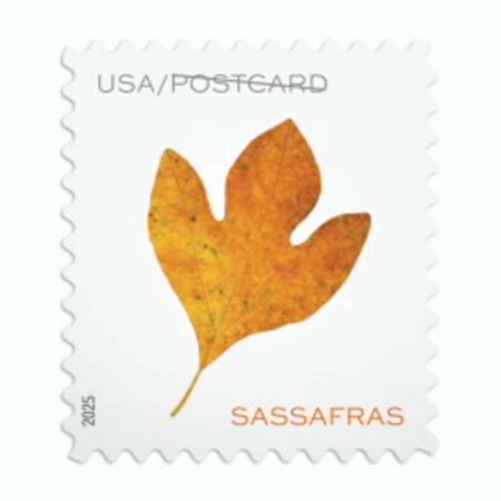Vibrant Leaves Postcard Stamps