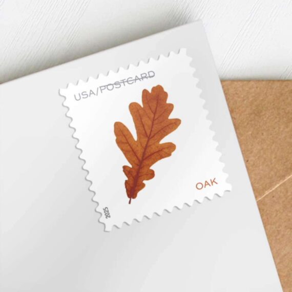 Vibrant Leaves Postcard Stamps